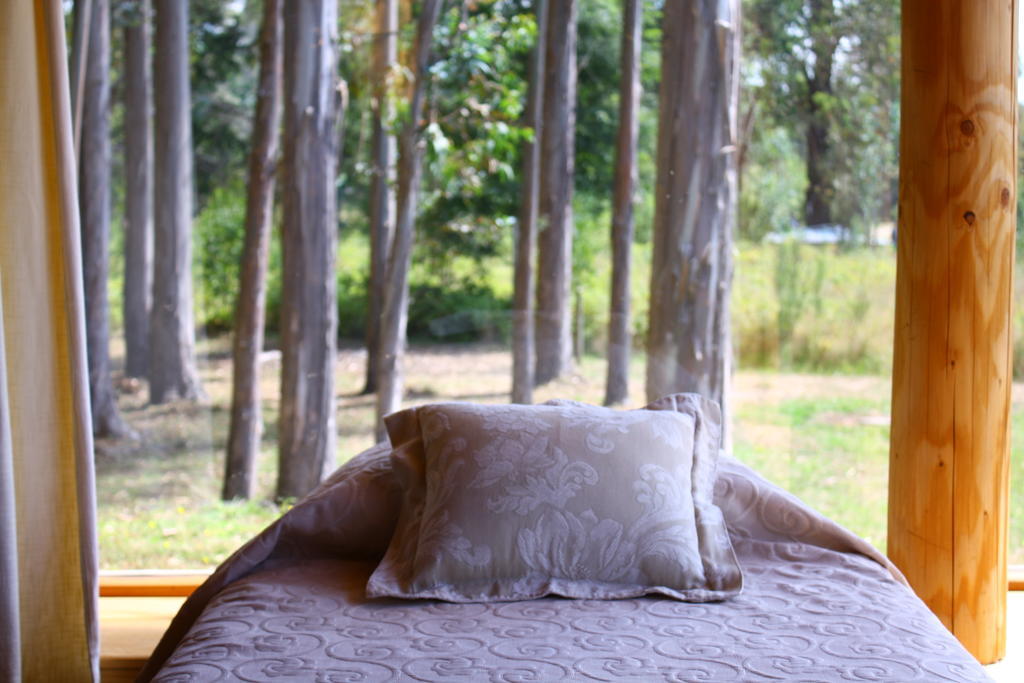 Cabanas Playa Linda Villa Pucon Room photo